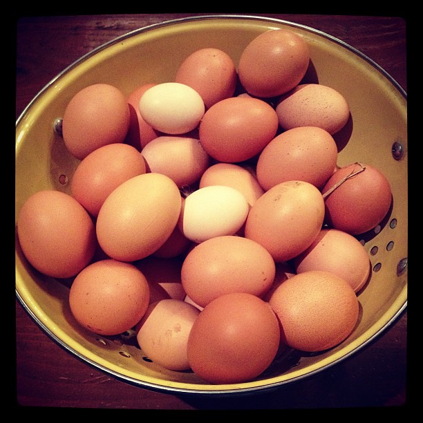 Eggs anyone? These are the ones that won't fit in the fridge!