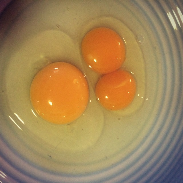 LOVE our hens - a double yolk & a giant yolk.....SCORE!!