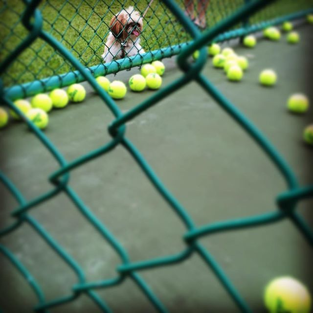 All those balls!! How do I get in there???