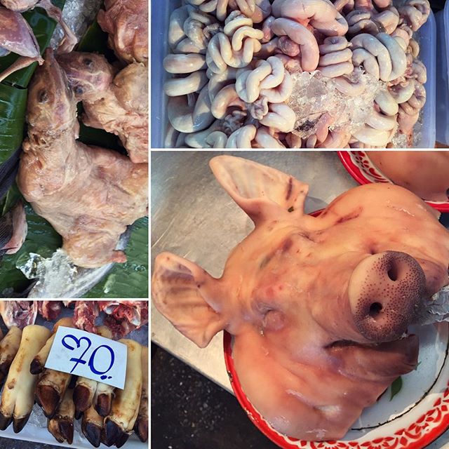 What we saw today - Rats, intestines, trotter  and a piggy