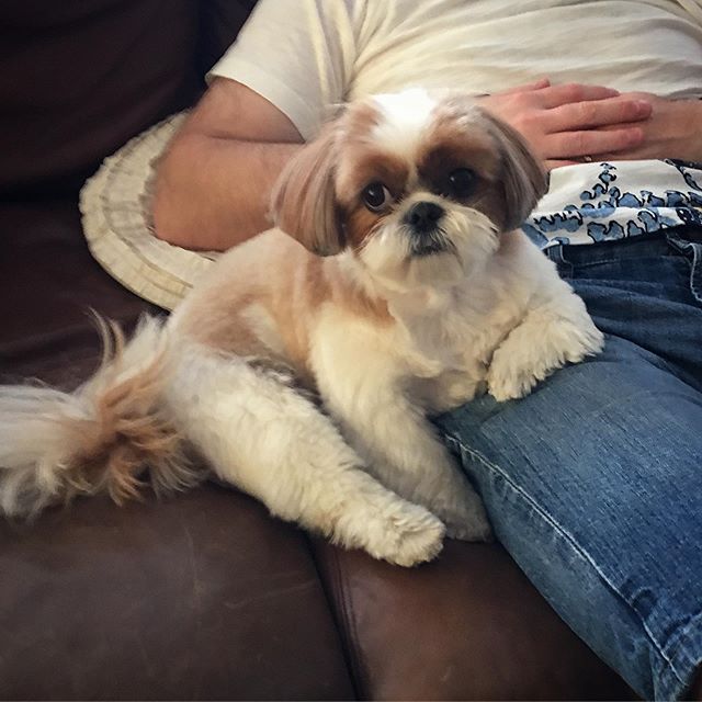 Penny - Just chillin with my Dad ️